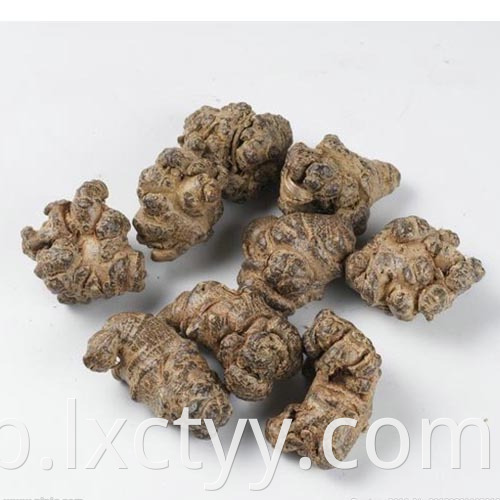 hot sale pseudo-ginseng foot tea